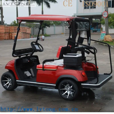  Economico 2 persona Buggy golf elettrico lunga durata poco rumore Buggy in vendita