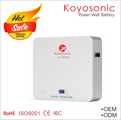Rack per batterie al litio Koyosonic da 48 V 50ah 100ah 200ah 51,2 V LiFePO4 Batteria agli ioni di litio da 2,5 kwh, 10 kwh, 15 kwh Batteria per conservazione a domicilio per Tesla