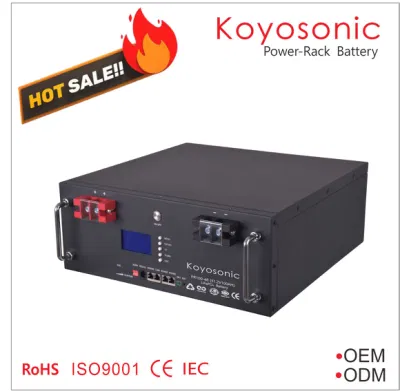 Rack per batterie al litio Koyosonic da 48 V 50ah 100ah 200ah 51,2 V LiFePO4 Batteria agli ioni di litio da 2,5 kwh, 10 kwh, 15 kwh Batteria per conservazione a domicilio per Tesla