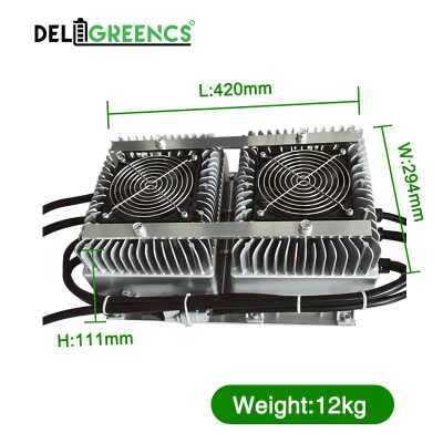 Deligreen 6.6kw OBC caricabatteria di bordo impianto elettrico per auto Componenti batteria integrata carrello da golf agli ioni di litio