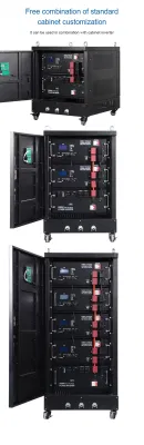 LiFePO4 batteria 24V 48V 51,2V 100ah 200ah Cina Prezzo solare Batteria agli ioni di litio di stoccaggio