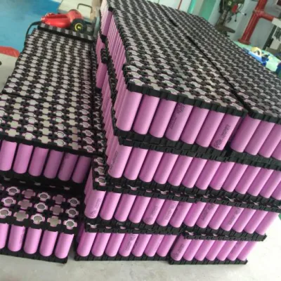 Batteria elettrica da bicicletta agli ioni di litio da 12 V 120 ah con caricabatterie