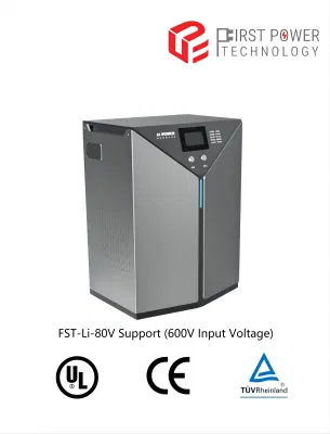 Batteria agli ioni di litio LiFePO4 per carrelli elevatori elettrici Canada da 600 V in ingresso Caricabatterie