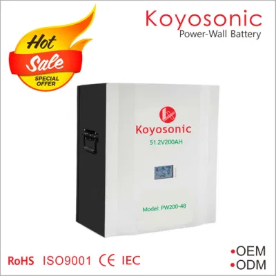 Rack per batterie al litio Koyosonic da 48 V 50ah 100ah 200ah 51,2 V LiFePO4 Batteria agli ioni di litio da 2,5 kwh, 10 kwh, 15 kwh Batteria per conservazione a domicilio per Tesla