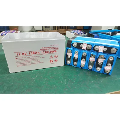 Batteria agli ioni di litio da 48 V 40 ah Yangtze