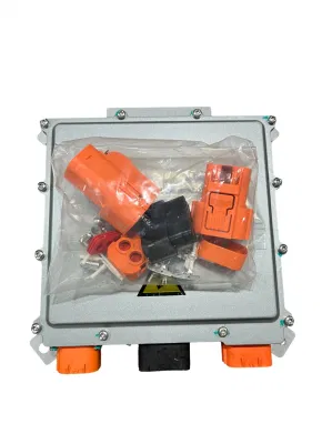 Consegna elettrica del veicolo caricabatteria uscita CC 3.3kw a bordo Caricatore caricatore scooter Cargo Tractor Truck Escavatrici Street Sweepers triciclo Caricabatterie