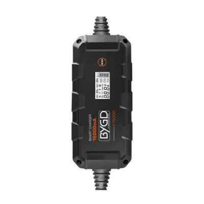 Batteria da 6 AMP con ingresso a impulsi diretto in fabbrica modello da 6 V 12V Caricabatterie