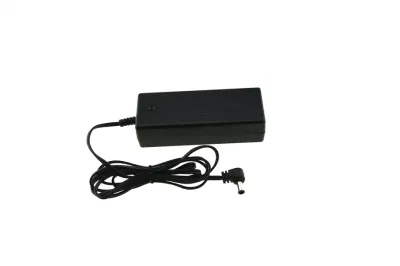  Fuyuang personalizzato UL cUL, registrazione CE SAA 12 V 24 V 36 V. Batteria al litio 10 s 42 V 48 V 60 V 2 a 3 a 4 a 5 A. Caricabatterie per bici elettrica