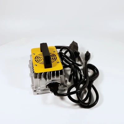 Carrello da golf a 4 posti con caricabatteria al litio da 48 V 100ah 105ah Parti