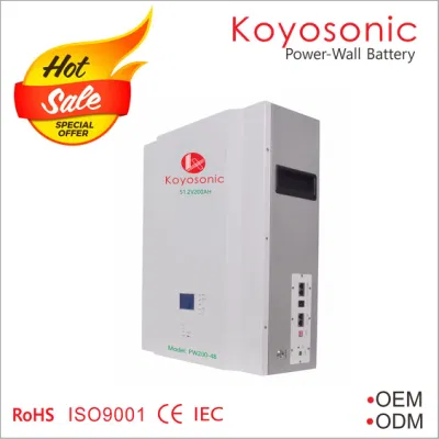 Rack per batterie al litio Koyosonic da 48 V 50ah 100ah 200ah 51,2 V LiFePO4 Batteria agli ioni di litio da 2,5 kwh, 10 kwh, 15 kwh Batteria per conservazione a domicilio per Tesla