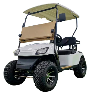 Indicatore display LCD per auto elettrica velocità prezzo competitivo controllo carica Kit corpo Club da 3.6 Volt complessivo assale posteriore 6 Golf Carrello