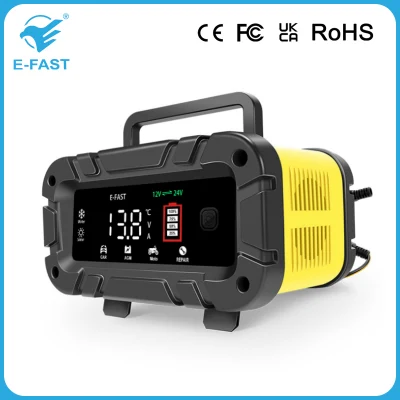 Tosaerba portatile elettrico per camion da auto digitale a 12 Volt Caricabatterie di compensazione da 20 AMP da 24 V 10 A.