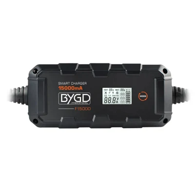 Batteria da 6 AMP con ingresso a impulsi diretto in fabbrica modello da 6 V 12V Caricabatterie