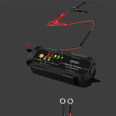 Per batterie al piombo-acido da 12V con batterie per auto LiFePO4-19,2V Cella flessibile E caricabatteria PER motore scheda DA 100 A 48 V 40 A.