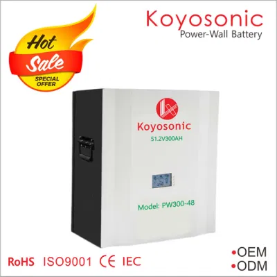 Rack per batterie al litio Koyosonic da 48 V 50ah 100ah 200ah 51,2 V LiFePO4 Batteria agli ioni di litio da 2,5 kwh, 10 kwh, 15 kwh Batteria per conservazione a domicilio per Tesla