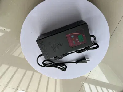 Presa di fabbrica Smart 36 V 48 V 60 V 15 a 20 a acido di piombo Caricabatteria