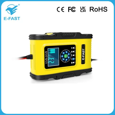 12V 12A 24V 6A AGM al piombo acido al litio LiFePO4 Caricabatteria