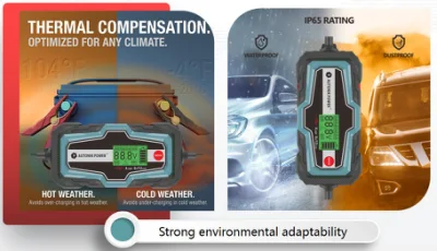  Batteria al litio da 6 V/12 V 10 a a 10 fasi/batteria al piombo-acido batteria completamente automatica efficiente Caricabatterie