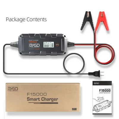  Batteria da 6 AMP con ingresso a impulsi diretto in fabbrica modello da 6 V 12V Caricabatterie