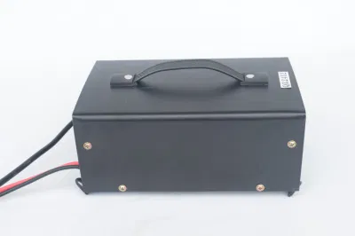 Caricabatteria per carrello elevatore a forche caricabatteria monofase al piombo acido Delong 24 V 12 A.