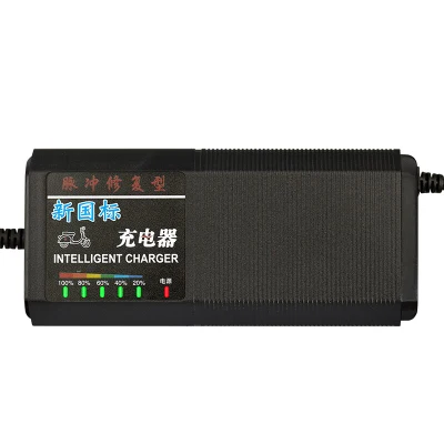  Caricabatterie per auto elettrica leggera/bicicletta UPS Addison 48V20ah 7 per Batteria al piombo-acido
