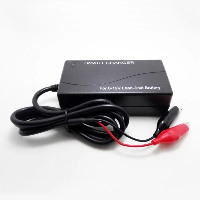  COMPLETAMENTE AUTOMATICO 6 V/12 V 3 A 60 W CC 7,35 V-14,7 V PER SLA/AGM /VRLA /gel batterie al piombo-acido caricabatteria intelligente per autocarri Moto