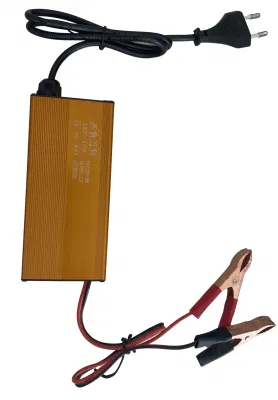 Caricabatteria intelligente per batterie agli ioni di litio triciclo/auto per uso automobilistico 12,6 V-10 A.