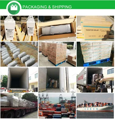 Yangtze 2019 miglior caricabatterie da 12 V per batteria Ebike da 12 V 24 ah