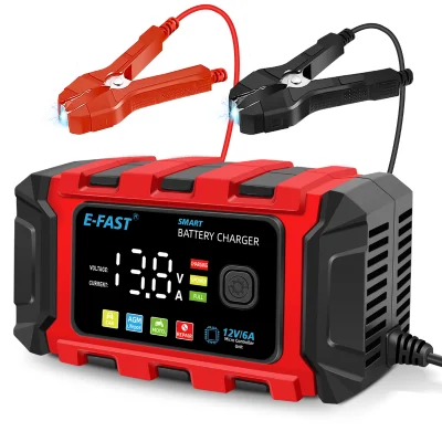 Caricabatteria al litio/LiFePO4 6-AMP12V per manutenzione OEM