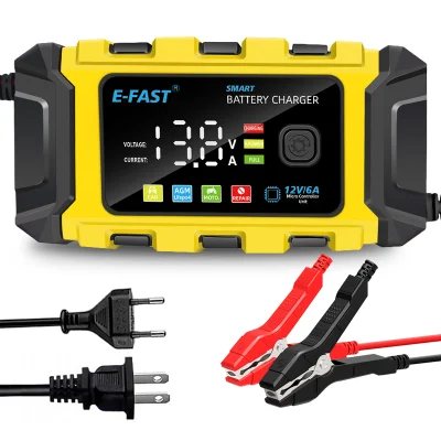 Caricabatteria al litio/LiFePO4 6-AMP12V per manutenzione OEM