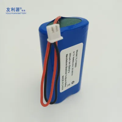 18650 caricabatteria agli ioni di litio 3,7 V 6,4 ah 12 V 48 V. Batteria ricaricabile per utensili elettrici batterie per videocamere con sicurezza Circuiti