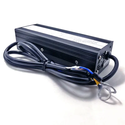  Caricabatterie intelligenti da 250 W da 21,6 V/21,9 V 9a 10a 11a Per 6S 18V 19,2V 9a 10a 11a LiFePO 4 LiFePO4 Batterie