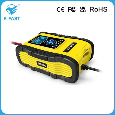 12V 12A 24V 6A AGM al piombo acido al litio LiFePO4 Caricabatteria