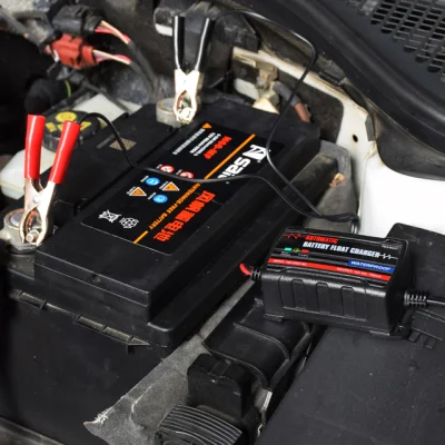 Caricabatteria portatile per la manutenzione dell&prime;auto - compensazione automatica 6V/12V 750 ma Caricabatterie