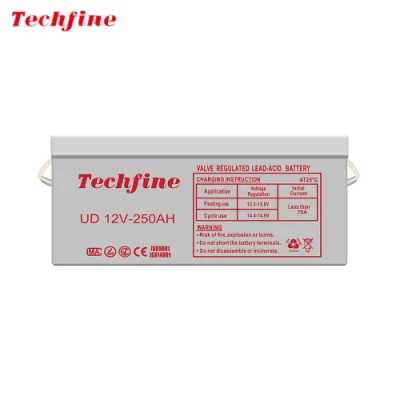  Techfine Prezzo di fabbrica manutenzione senza piombo acido caricabatterie con Servizio buono