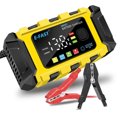 Caricabatteria al litio/LiFePO4 6-AMP12V per manutenzione OEM