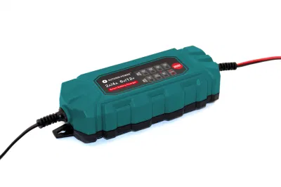  Batteria al litio 6 fasi da 6 V/12 V/batteria al piombo-acido caricabatteria completamente automatico