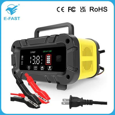  Batteria al litio da 20 AMP completamente automatica da 12 V e 24 V Caricabatterie