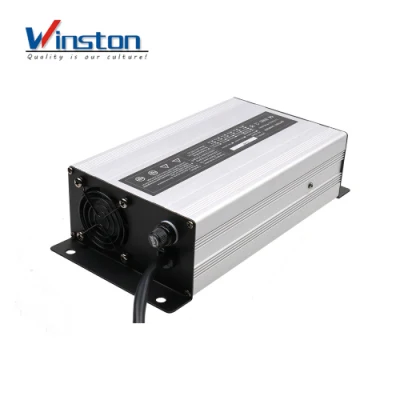 Caricabatterie per auto da 900 W con acido al piombo/gel AGM da 220 V 12 V 24 V.
