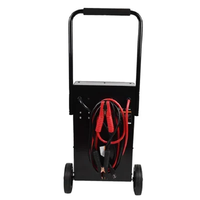 Caricabatterie da 100/200/40//10 AMP con avviamento motore (48230011)