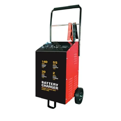  Caricabatterie da 100/200/40//10 AMP con avviamento motore (48230011)