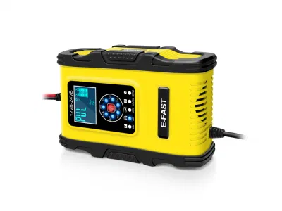 Caricabatterie per auto 12V12A 24 V 6A completamente automatico per piombo-acido Ricarica della batteria