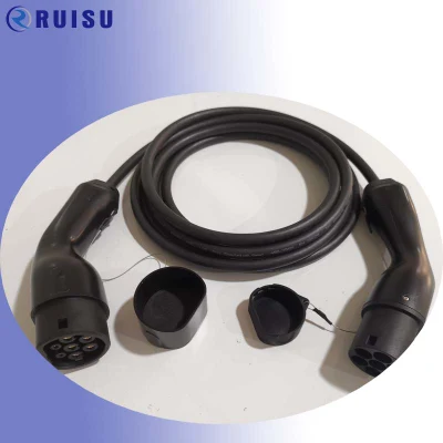 Caricabatterie CA da 11 kW per stazione di ricarica per veicoli elettrici WiFi O punto di ricarica per auto con caricabatteria per auto Smart Home EV 4G Con Type 1 tipo 2