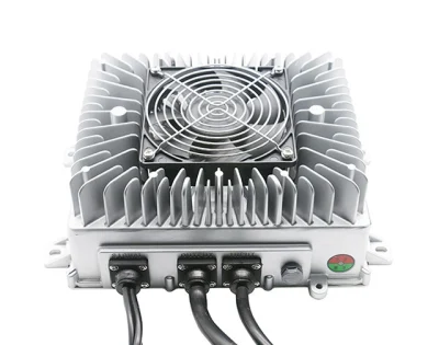  Caricabatterie al litio da 3300 W impermeabile IP76 48 V 40 a 42A Per carrello da golf elevatore