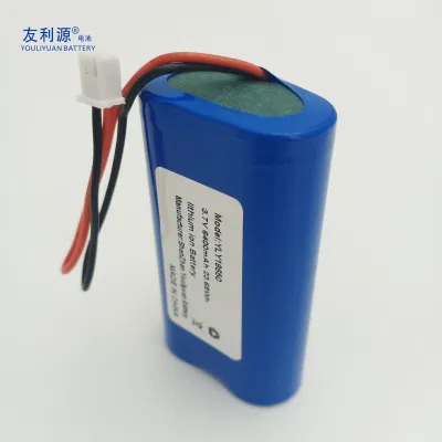 18650 caricabatteria agli ioni di litio 3,7 V 6,4 ah 12 V 48 V. Batteria ricaricabile per utensili elettrici batterie per videocamere con sicurezza Circuiti