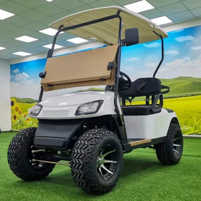  Indicatore display LCD per auto elettrica velocità prezzo competitivo controllo carica Kit corpo Club da 3.6 Volt complessivo assale posteriore 6 Golf Carrello