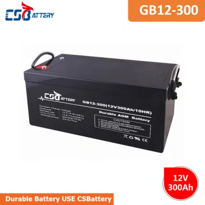 Batteria AGM al piombo-acido Csbattery 12V 200ah/250ah/300ah per auto/moto/EPS/imbarcazione/Power-Tool/Pack/CSE