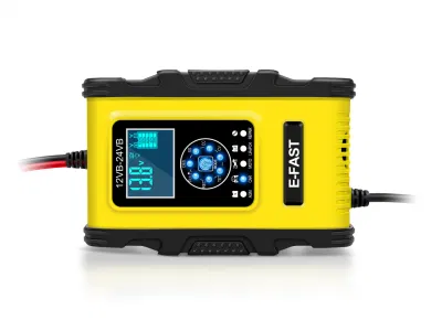 Caricabatterie per auto 12V12A 24 V 6A completamente automatico per piombo-acido Ricarica della batteria