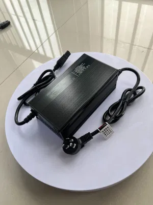 Presa di fabbrica Smart 36 V 48 V 60 V 15 a 20 a acido di piombo Caricabatteria