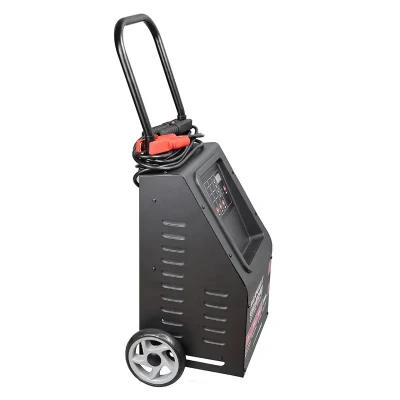 Caricabatterie da 100/200/40//10 AMP con avviamento motore (48230011)